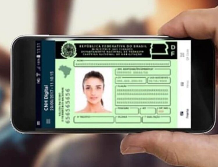 permis de conduire